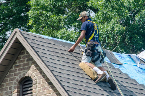 Best Residential Roofing Contractor  in Davie, FL